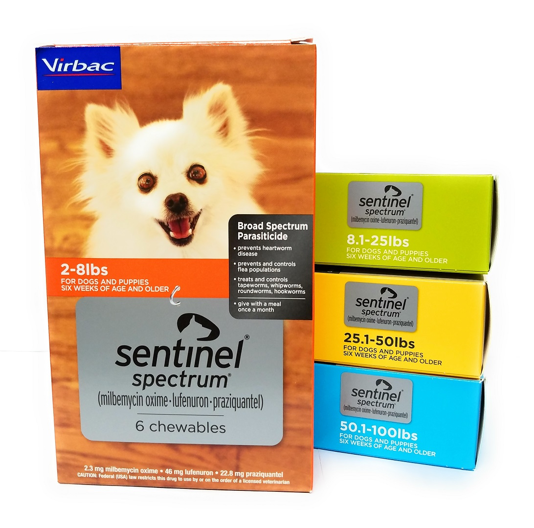 sentinel for dogs cheapest price