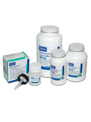 Image of Biomox [Amoxicillin] for Dogs
