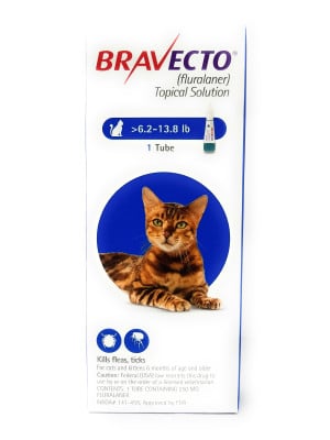 Image of Bravecto Topical for Cats