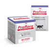 Proflora Probiotic Powder for Cats, 30 Powder Packets large image