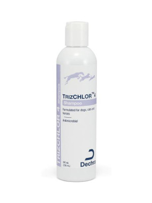 Image of trizchlor 4 shampoo 8