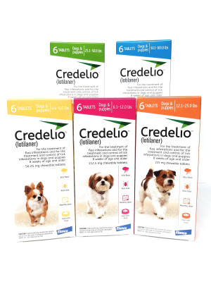 Image of Credelio Chewable Tablets for Dogs