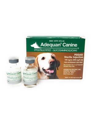 Image of Adequan Canine 100mg/mL 5 mL, Single Vial