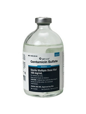 Image of Gentamicin Sulfate Solution