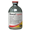 Naxcel Injectable large image