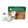 Adequan Canine 100mg/mL 5 mL, Single Vial large image