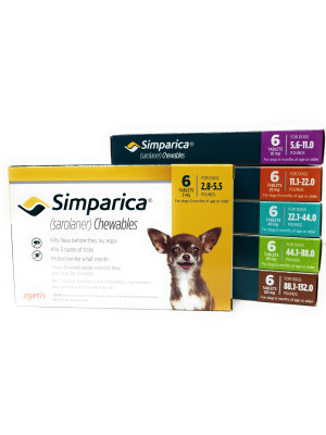 Image of Simparica Chewables for Dogs