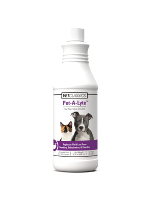 Image of Pet A Lyte Oral Electrolyte Solution 32 oz