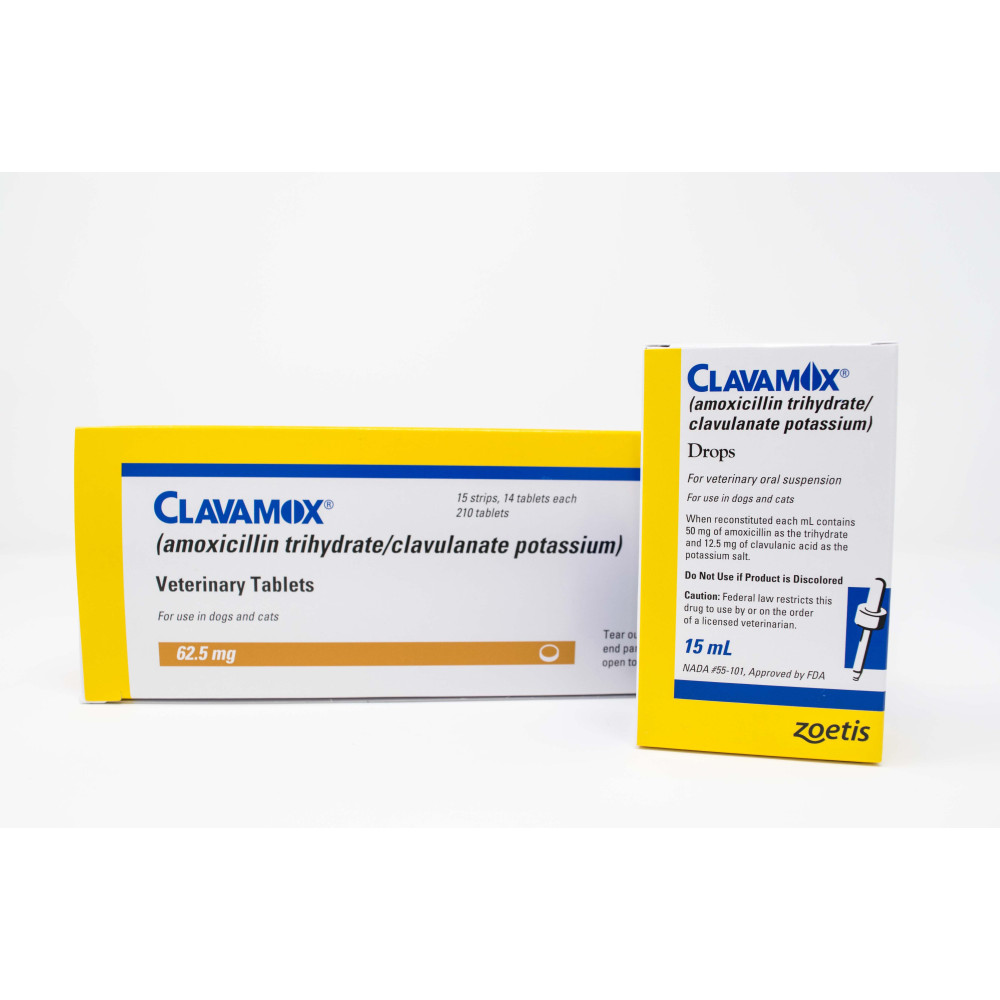 Clavamox Oral Antibiotic For Cats & Dogs Vet Approved Rx