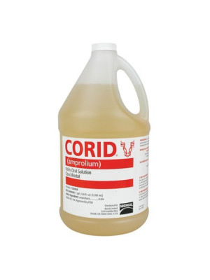 Image of Corid  9.6% Solution 1 Gallon