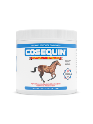 Image of Cosequin Equine Powder Original 280g