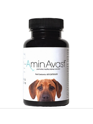 Image of AminAvast for Large Dogs