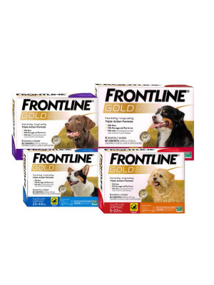 Image of frontline gold