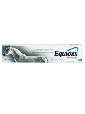 Image of Equioxx Equine Oral Paste 6.93 gm