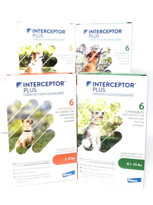 Image of Interceptor Plus Chewable for Dogs