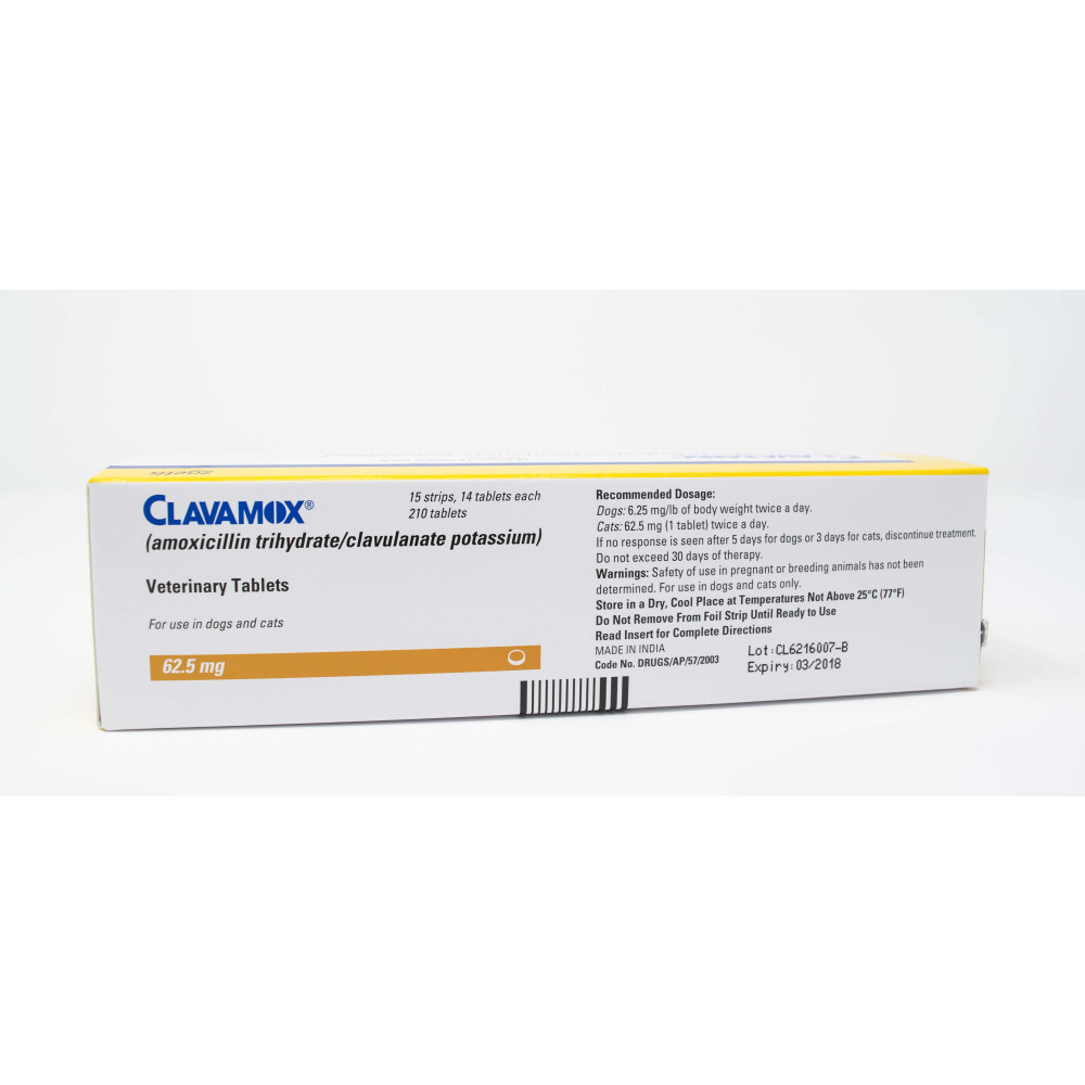 Clavamox Oral Antibiotic For Cats & Dogs Vet Approved Rx