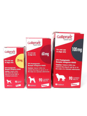 Image of Galliprant Flavored Tablets for Dogs