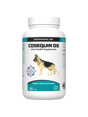 Image of Nutramax Cosequin DS Joint Health Supplement for Dogs - With Glucosamine and Chondroitin, 132 Capsules