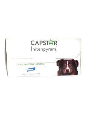 Image of Capstar For Dogs and Cats