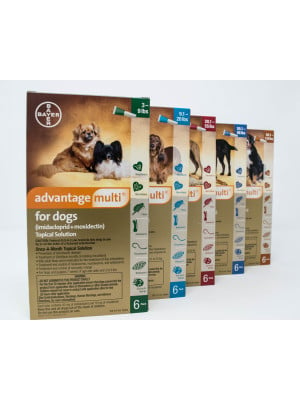Image of Advantage Multi for Dogs