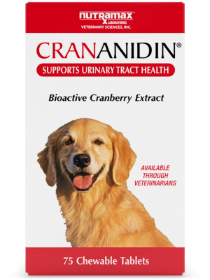 Image of Nutramax Crananidin Cranberry Extract Urinary Tract Health Supplement for Dogs, 75 Chewable Tablets
