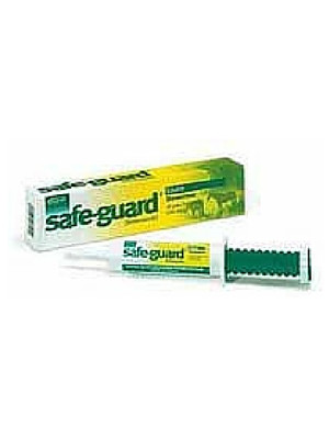 Safe Guard Equine Paste 25gm 